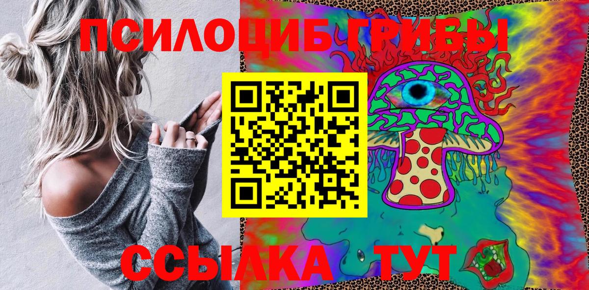Чистополь  Галлюциногенные грибы мицелий  Галлюциногенные грибы мицелий  купить наркотики цена  Вход с VPN 
